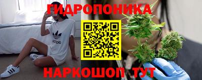 a pvp Кизляр