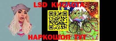 прущие грибы Ковров